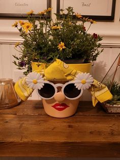 a potted plant with sun glasses on top of it