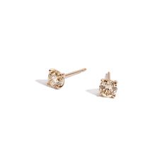 Shahla Karimi Champagne Round Diamond Earring Studs 14K Yellow Gold Champagne Diamond Earrings, Bridal Editorial, Claw Setting, The Ear, Champagne Diamond, Champagne Color, Round Earrings, Gold Platinum, Custom Rings