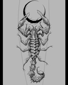 a black and white drawing of a scorpion on a gray background with the moon behind it