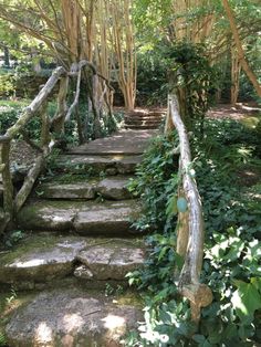 a stone path in the middle of a forest