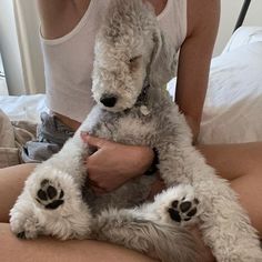 a woman holding a dog in her arms while sitting on top of a bed next to a cat