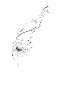 a drawing of a dandelion blowing in the wind