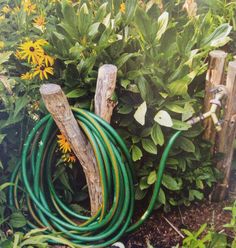 a garden hose is laying on the ground next to some flowers