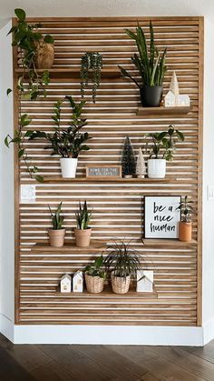 a wooden shelf with plants on it