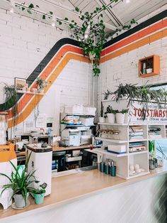 the interior of a store with lots of plants