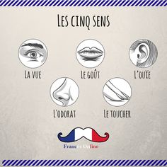 the different types of french mustaches are shown in this graphic style, with an image of