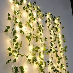 ivy growing on the side of a wall covered in lights