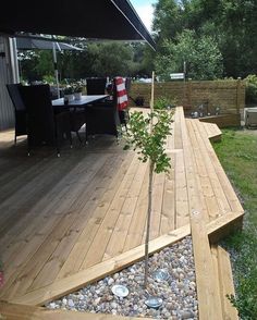 a small tree is growing in the middle of a decked area with rocks and gravel