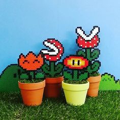 three potted plants sitting on top of a green grass covered field next to a blue wall