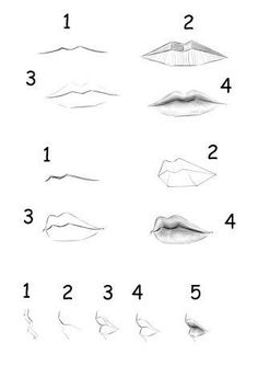 how to draw lips step by step for beginners and advanced drawing students in this video, you will learn how to draw your own lip shapes