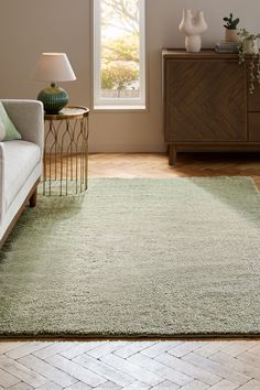 a living room scene with focus on the area rug and the couch in the foreground