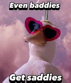 a duck wearing sunglasses with the caption even baddies get saddles