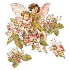 Apple Blossom Flower, Fairy Wallpaper, Ideas Navidad, Fairy Book