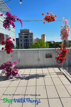 purple and red flowers are hanging from poles on the roof