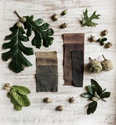 several different types of leaves and nuts on a table