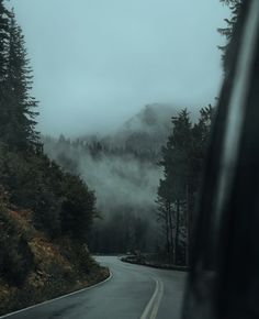 the road is surrounded by trees and fog in the distance, as seen from inside a vehicle