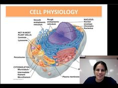 a woman standing in front of a poster with the words cell phys biology on it