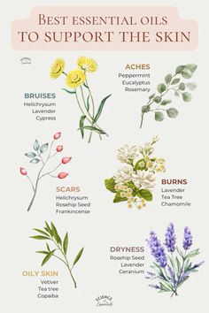 Best essential oils to support the skin, aromatherapy for skin care, science of essentials Natural Beauty Diy, Diy Remedies, For Skin Care, Beauty Diy, Best Essential Oils, Dreamy Room, Soap Recipes