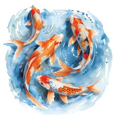 two orange and white koi fish swimming in blue water with splashing paint on it's surface