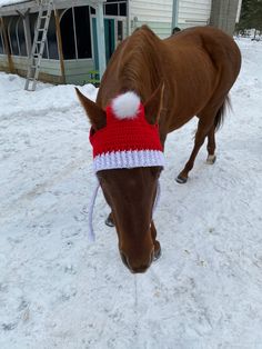 a brown horse wearing a red and white santa hat in the snow near a house