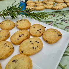 cookies are arranged on a white platter next to pine branches