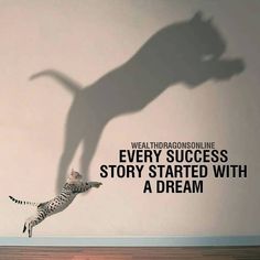 a cat that is standing on its hind legs in front of a wall with the words, every success story started with a dream