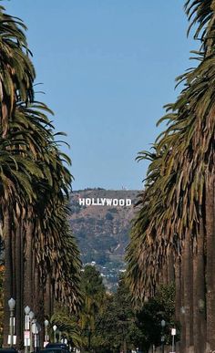 the hollywood sign is surrounded by palm trees