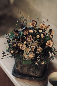 a potted plant sitting on top of a wooden table