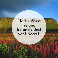 a field full of flowers with the words north west ireland's best kept secret