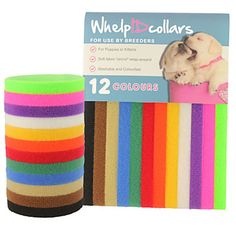 multicolored wristbands for dogs and cats