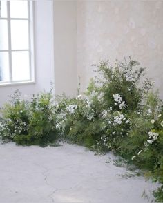 white flowers and greenery in front of a window