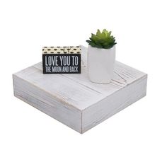 a small potted plant sitting on top of a white wooden box next to a sign that says love you to the moon and back