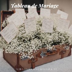 a suitcase filled with baby's breath sitting on top of a table