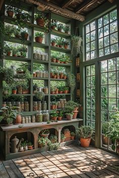 a room filled with lots of potted plants