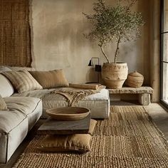 a living room filled with furniture next to a window and a potted plant in the corner