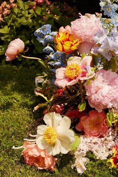 a bunch of flowers that are sitting in the grass