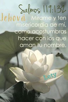 a white lotus flower sitting on top of a leafy green plant in front of a sky background