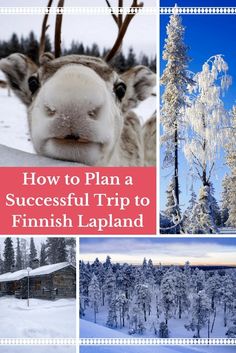 how to plan a successful trip to finnish lapland in the wintertime and snow