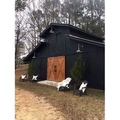 three lawn chairs sitting in front of a black barn with wooden doors and windows on the side