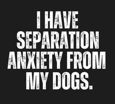 the words i have separation and an image of a dog