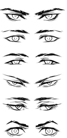 an image of different types of eyes