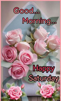 pink roses are in vases with green leaves on the bottom and words good morning happy saturday