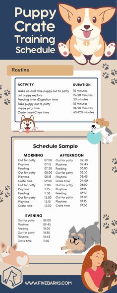 a flyer for puppy training schedule with dogs and kittens on it's side