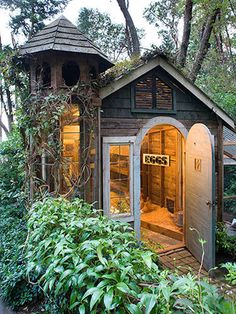 an outhouse in the woods is lit up at night