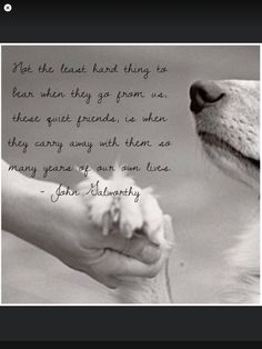 a black and white photo of a dog holding a person's hand with the caption not the least kind thing to learn when they go from us