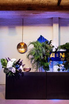 a room with plants and lights on the wall