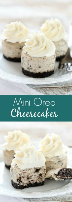 mini oreo cheesecakes on a white plate