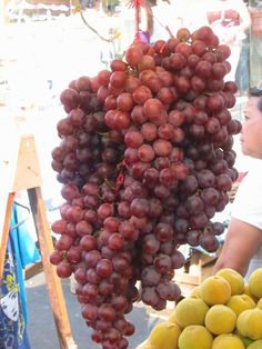 a bunch of grapes that are hanging from a pole in front of a man standing next to some fruit