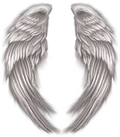 the wings of an angel on a white background