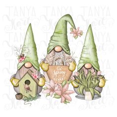 three gnomes with green hats and flowers in front of a birdhouse, potted plants